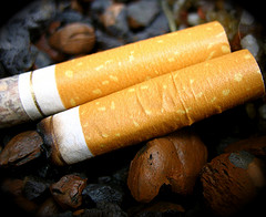 independent retailer